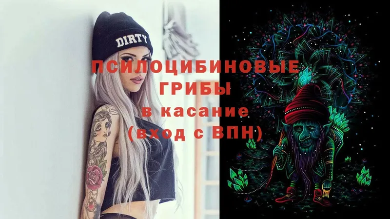 darknet клад  Сургут  Псилоцибиновые грибы MAGIC MUSHROOMS  mega ссылки 